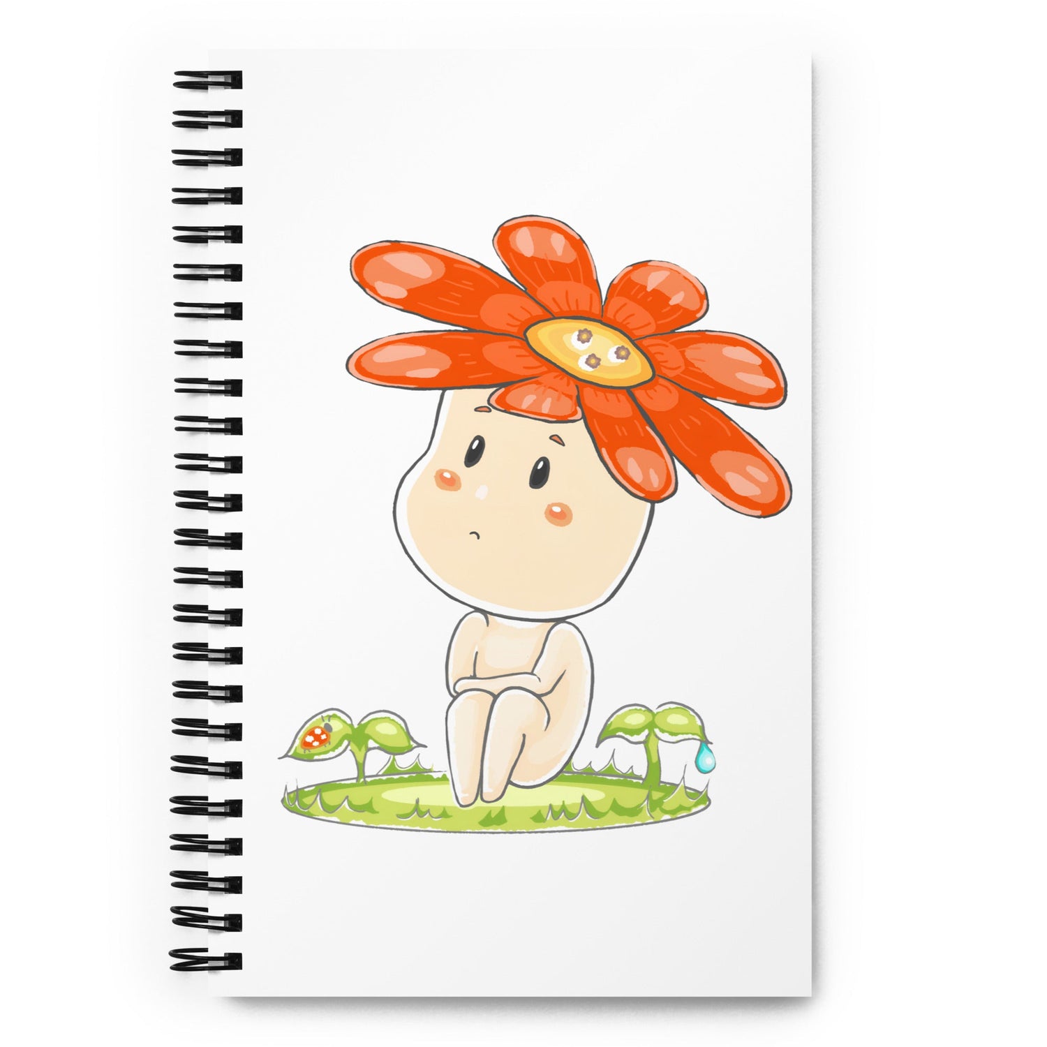 Notebooks